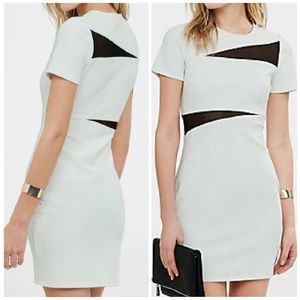 Express Ivory and Black Mesh Dress size 2